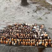 Review photo of Periwinkle Park by Doreen G., February 18, 2026