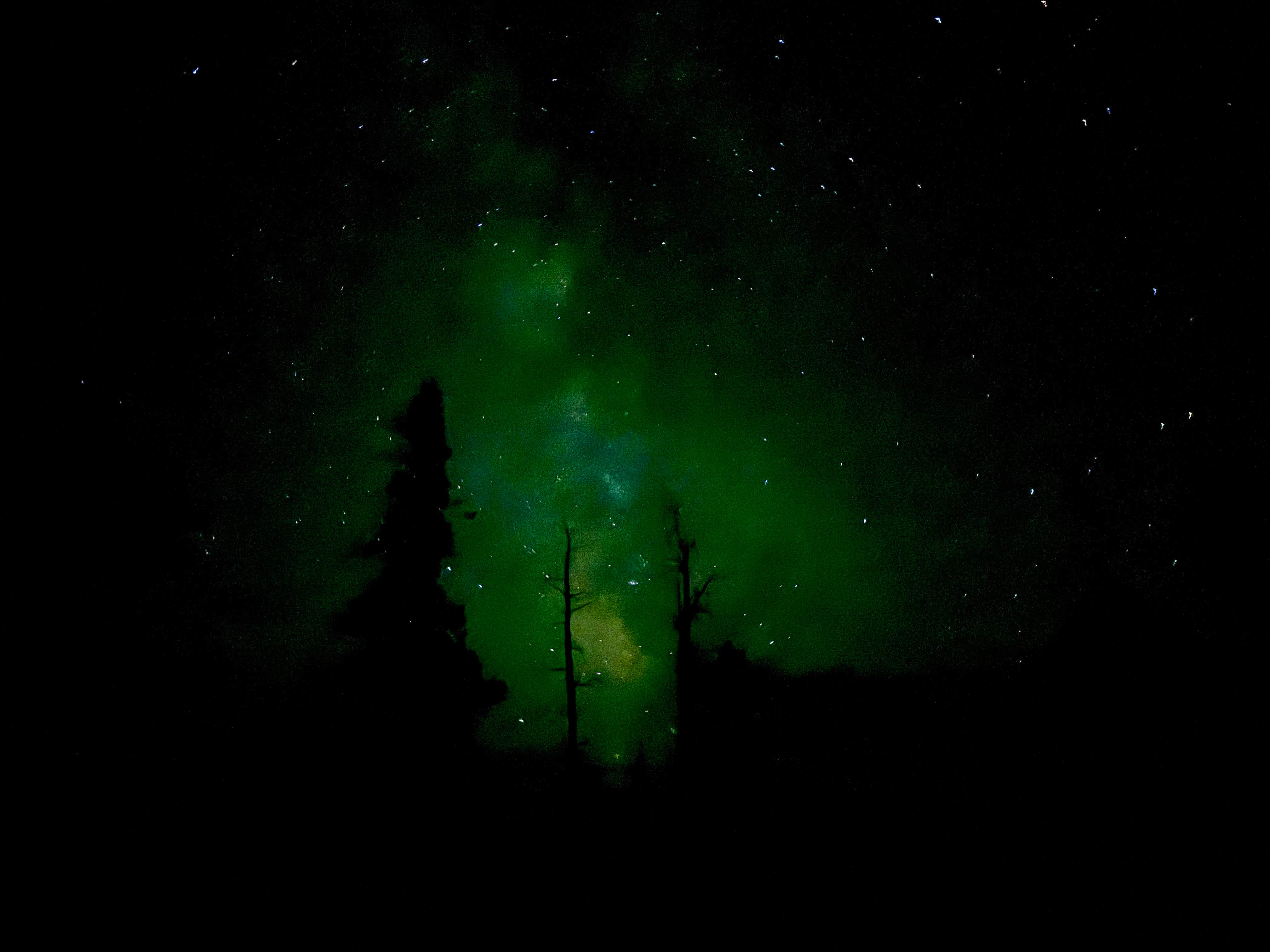 Camper submitted image from Perkins Lake Dispersed Camping - 1