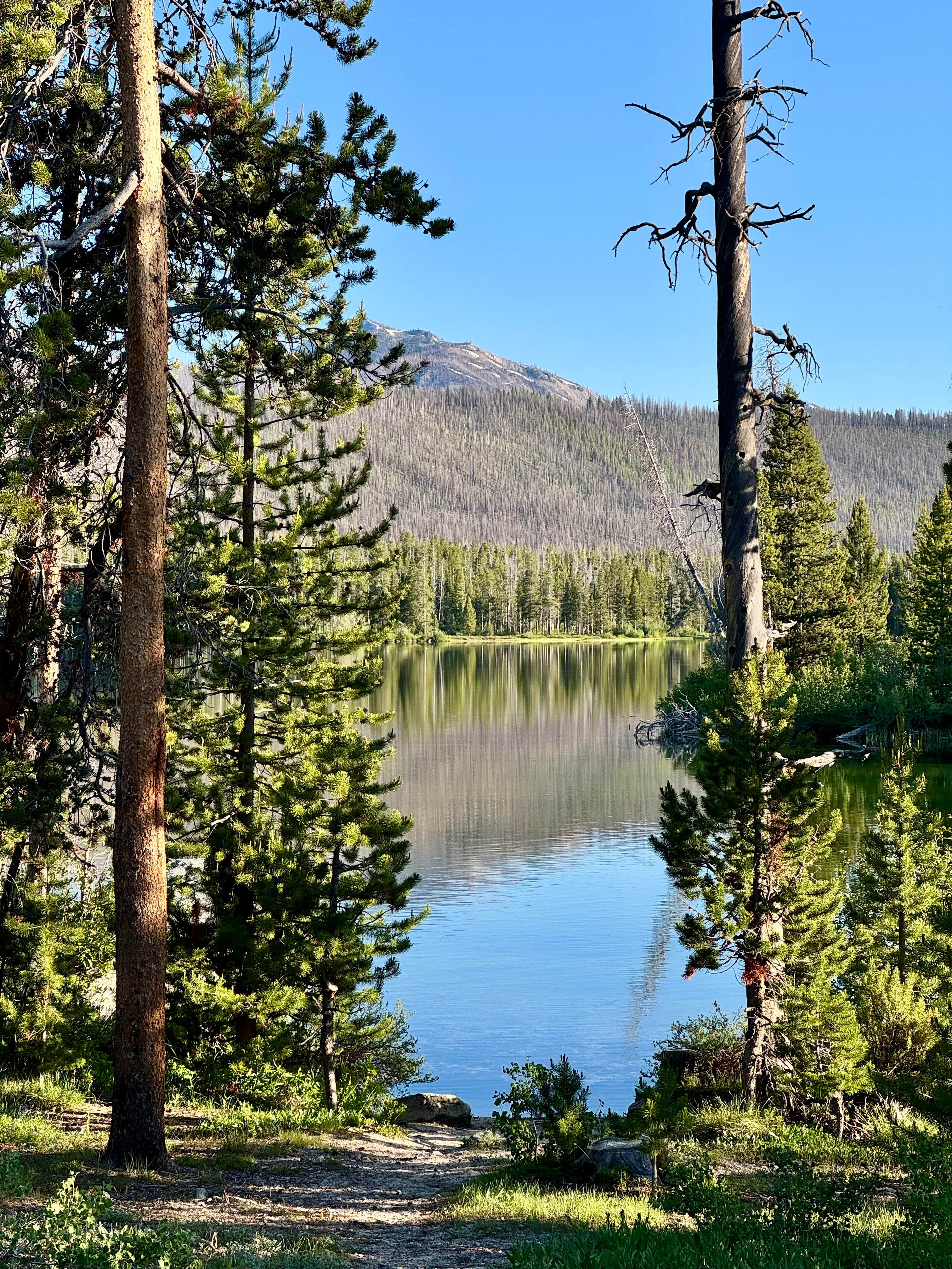 Camper-submitted photo at Perkins Lake Dispersed Camping near Sawtooth National Forest