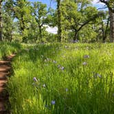 Review photo of Perry Riffle Trailhead by Al L., April 13, 2025