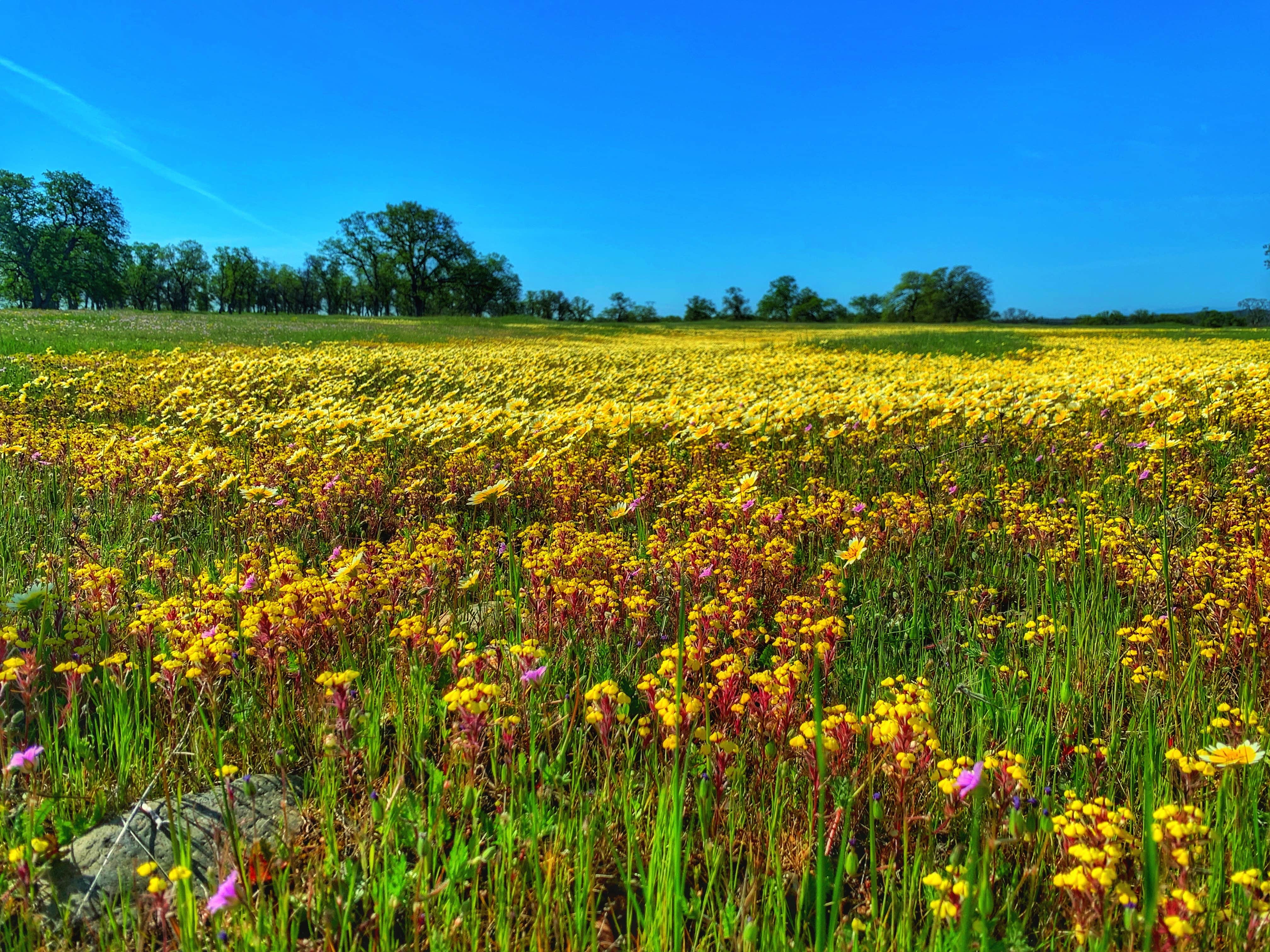 Perry Riffle Trailhead