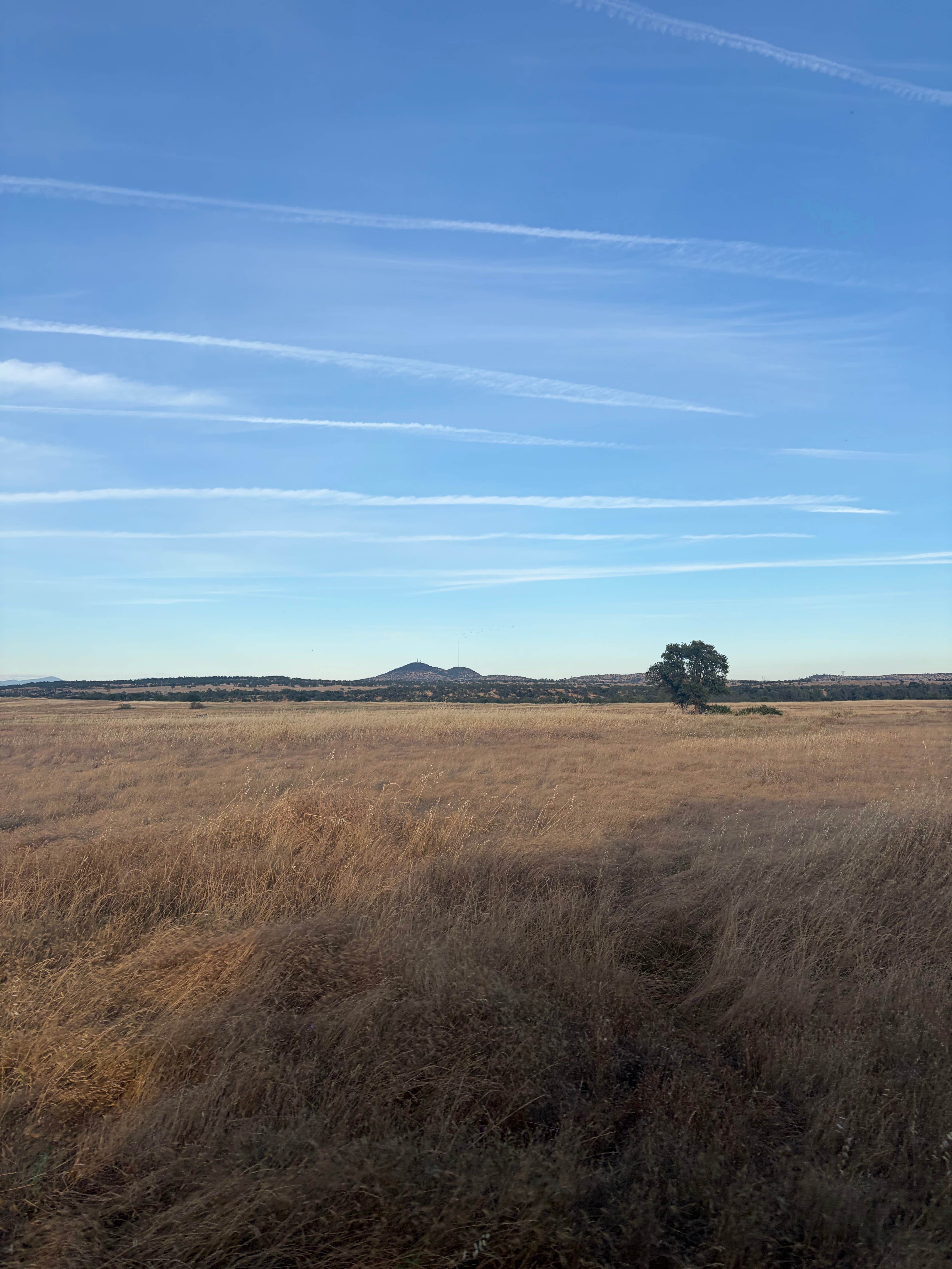 Camper-submitted photo at Perry Riffle Trailhead near Forest Ranch, CA