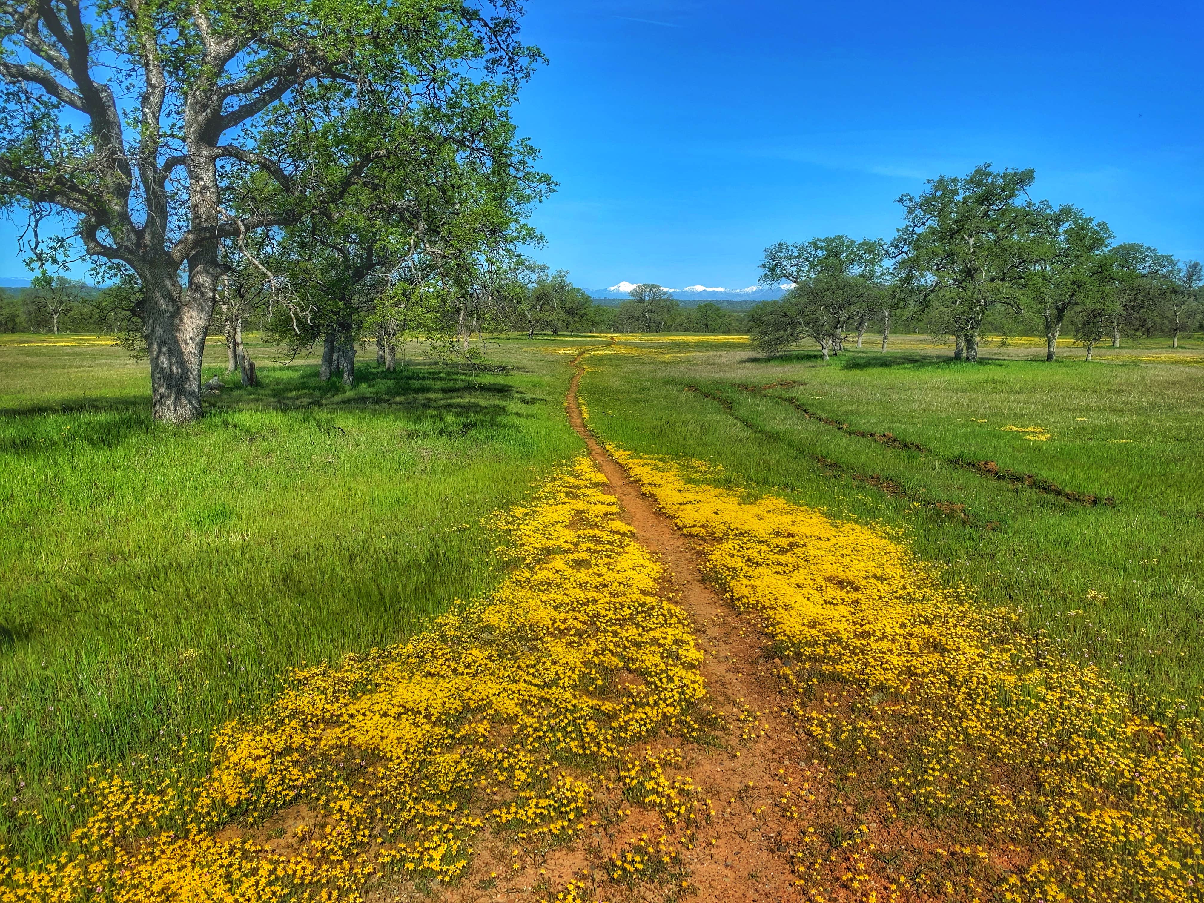 Camper-submitted photo at Perry Riffle Trailhead near Red Bluff, CA