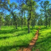 Review photo of Perry Riffle Trailhead by Sadie P., February 24, 2025