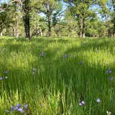 Review photo of Perry Riffle Trailhead by Al L., April 13, 2025