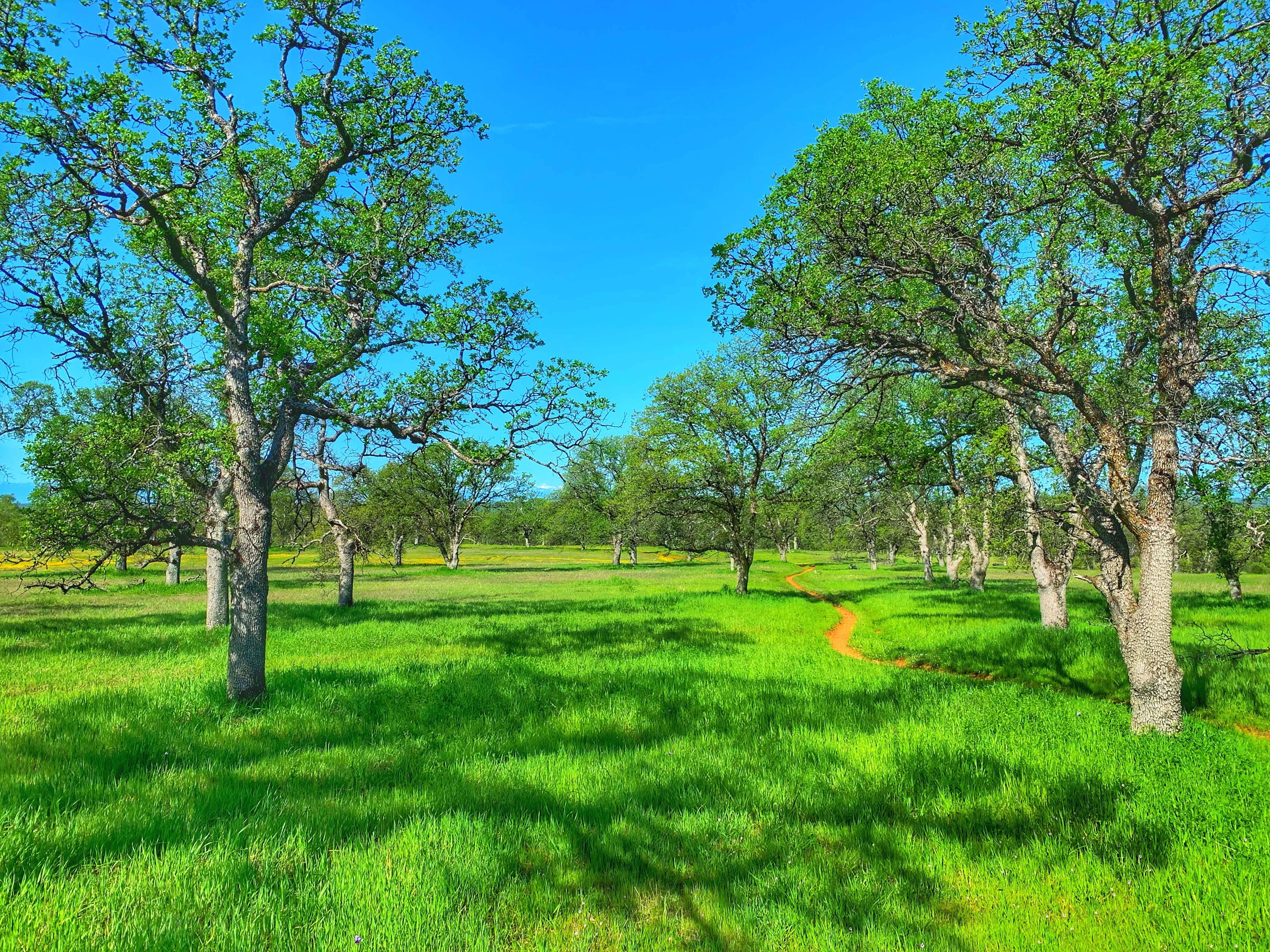 Perry Riffle Trailhead