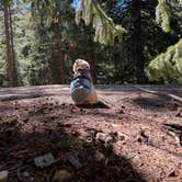 Review photo of Peru Creek Designated Dispersed Camping by Marissa P., September 10, 2026
