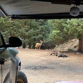 Review photo of Peru Creek Designated Dispersed Camping by Marissa P., September 10, 2026