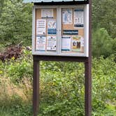 Review photo of Old Veterans Lake - Peshtigo River SF by Molly M., August 2, 2024