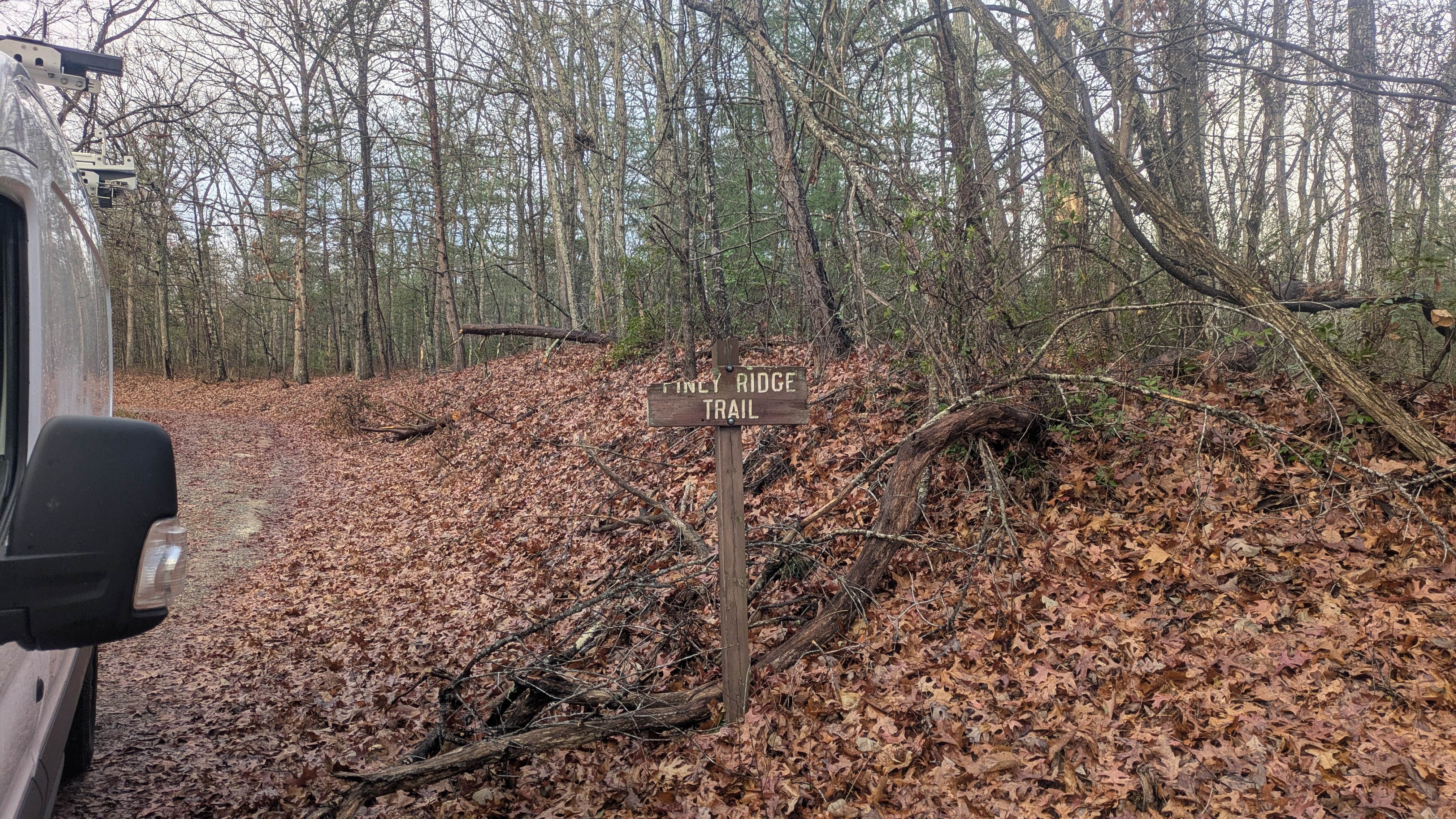Camper submitted image from Piney Ridge Trailhead parking - 1
