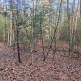 Review photo of Peters Creek by Vidalia S., December 2, 2025