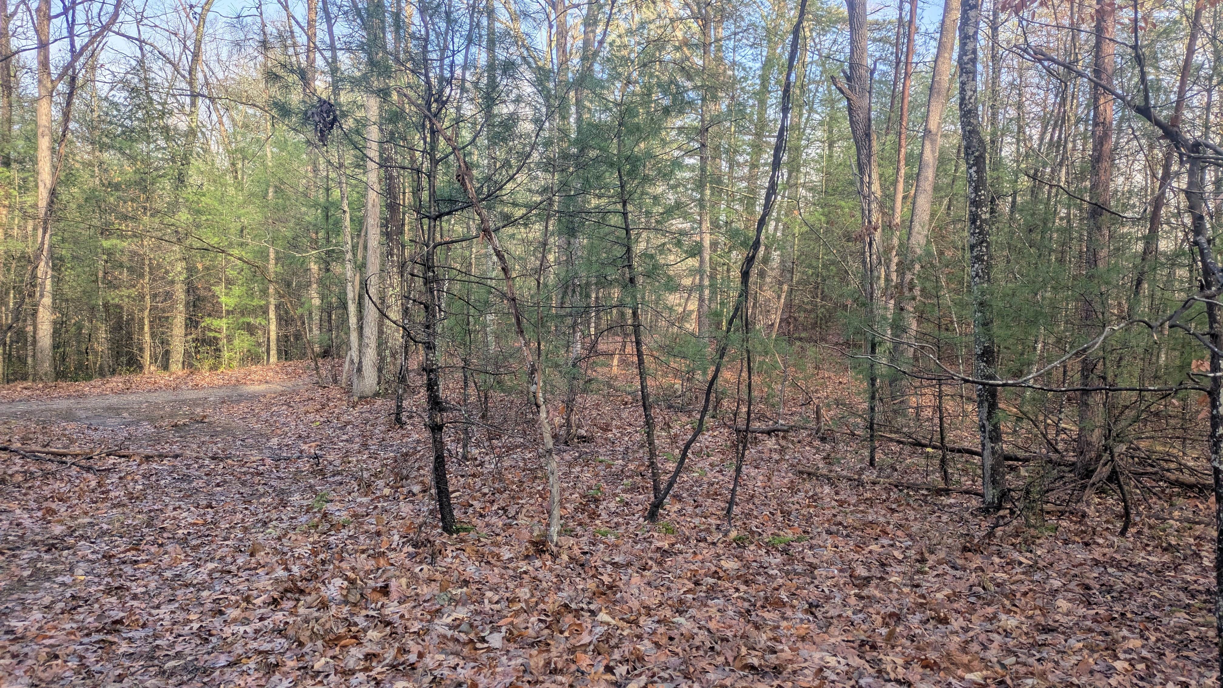 Camper submitted image from Peters Creek - 1