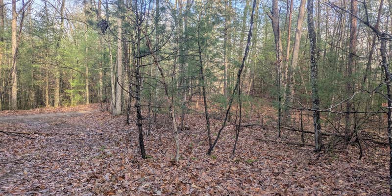 Camper submitted image from Peters Creek