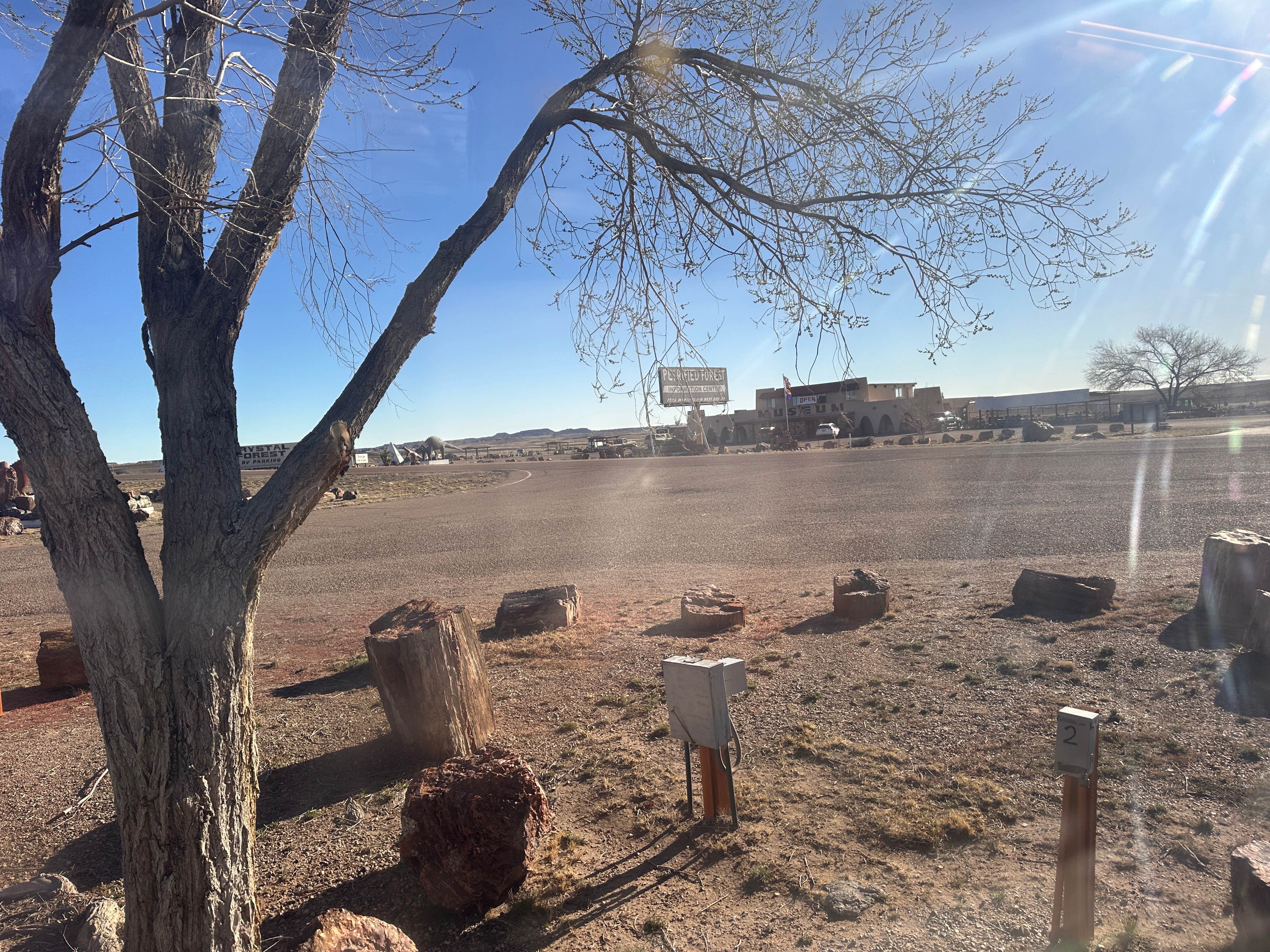 Camper-submitted photo at Crystal Forest Campground near Woodruff, AZ