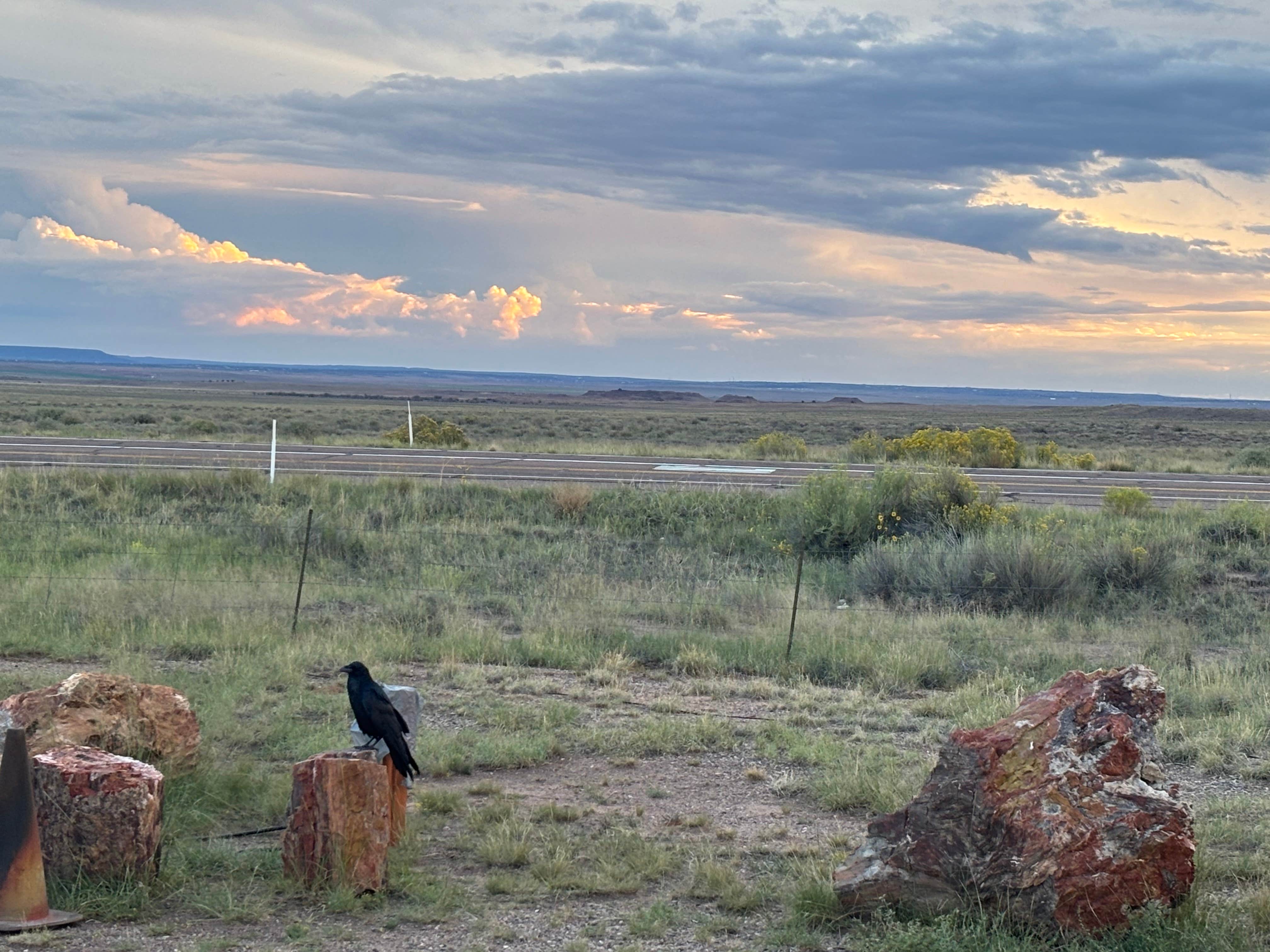Camper-submitted photo at Crystal Forest Campground near Chambers, AZ