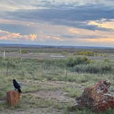 Review photo of Crystal Forest Campground by Jim M., September 28, 2025