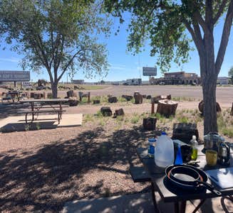 Camper-submitted photo from Petrified Forest Campground