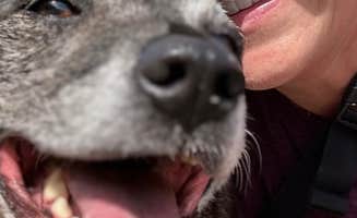 Kevin L.'s photo of camping with pets at Petro Shopping Center near Central Point, OR
