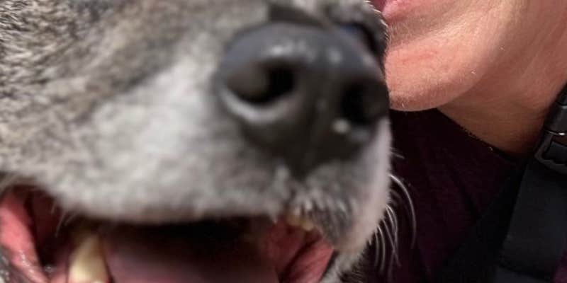 Camper submitted image from Petro Shopping Center