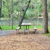 Review photo of Pettecote Junction Campground by Sean F., May 19, 2026