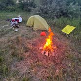Review photo of Pettigrew WMA by Brian H., August 24, 2026