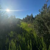 Review photo of Pettigrew WMA by Brian H., August 24, 2026