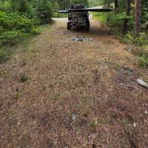 Review photo of Petty Creek Road Dispersed Camping by SpentBrassOffroad B., July 11, 2025