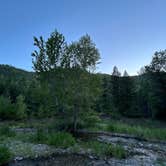 Review photo of Petty Creek Road Dispersed Camping by sophia M., June 6, 2024