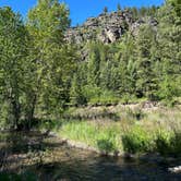 Review photo of Petty Creek Road Dispersed Camping by sophia M., June 6, 2024