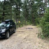 Review photo of Petty Creek Road Dispersed Camping by Lauren M., July 25, 2024