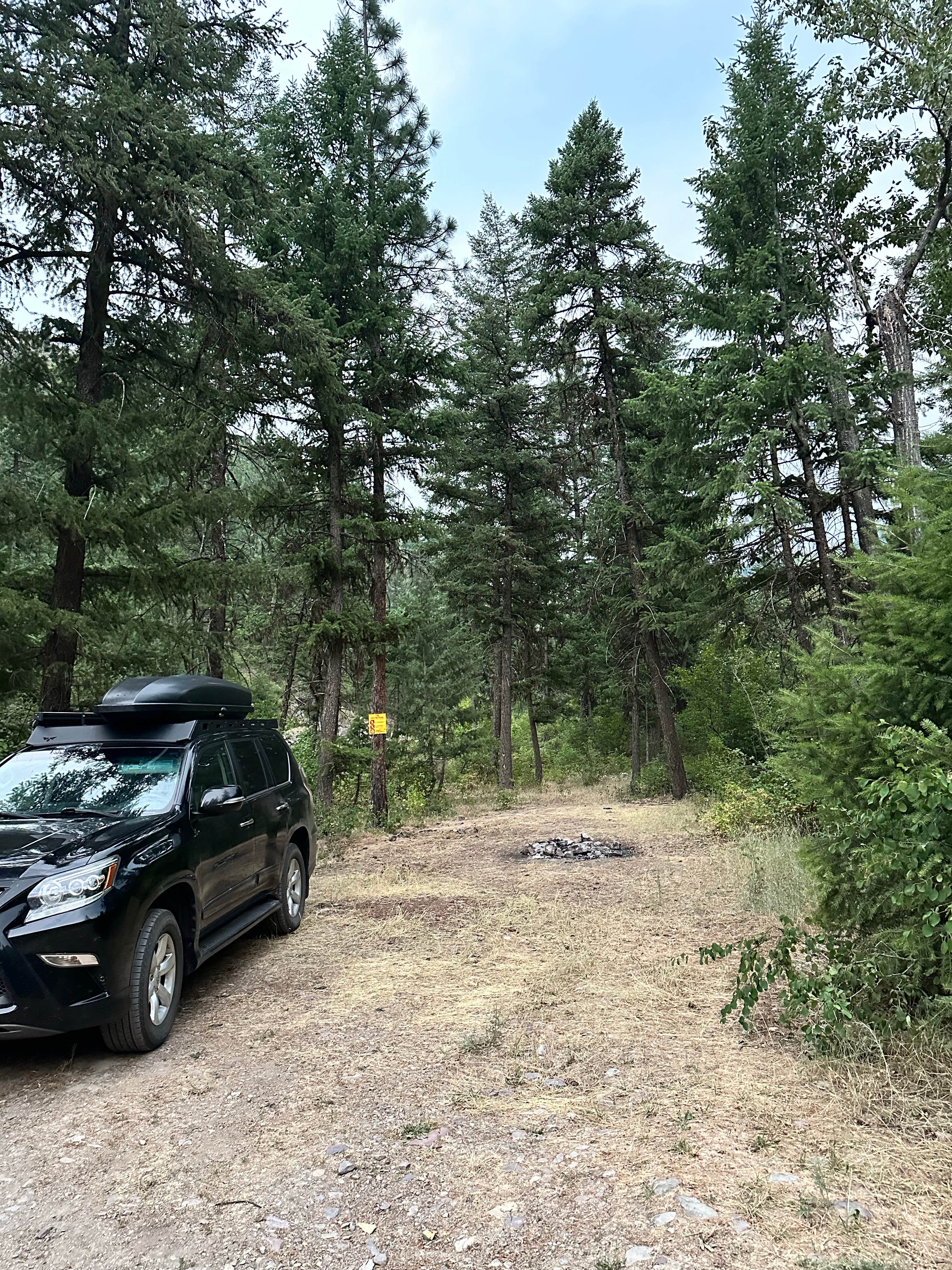 Camper submitted image from Petty Creek Road Dispersed Camping - 4