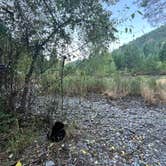 Review photo of Petty Creek Road Dispersed Camping by Sarah S., August 6, 2024