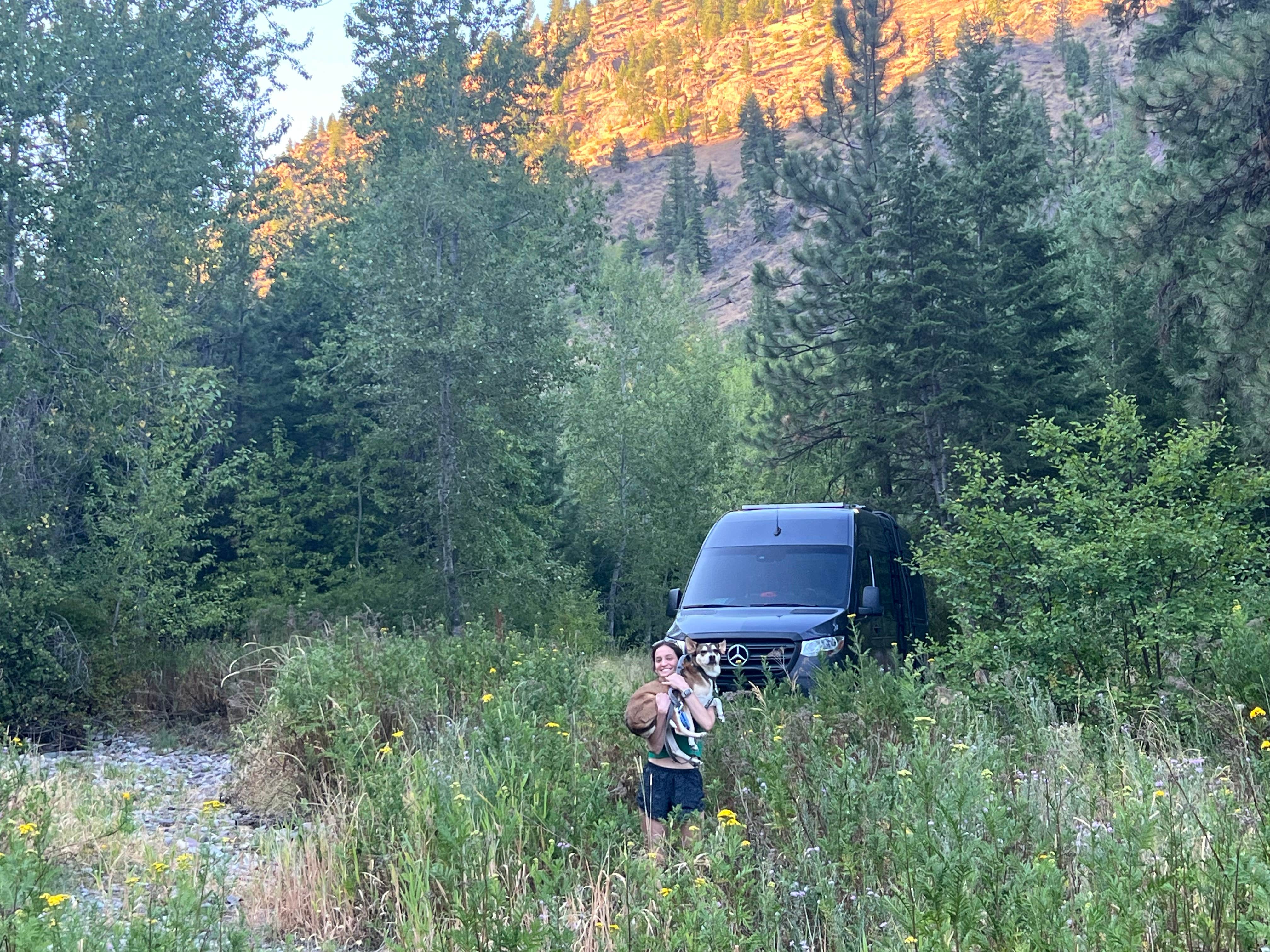 Petty Creek Road Dispersed Camping