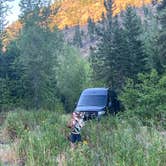 Review photo of Petty Creek Road Dispersed Camping by Sarah S., August 6, 2024