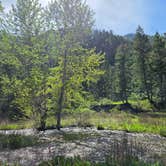Review photo of Petty Creek Road Dispersed Camping by Ryan B., May 14, 2026