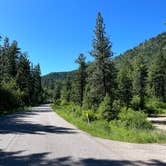 Review photo of Petty Creek Road Dispersed Camping by sophia M., June 6, 2024