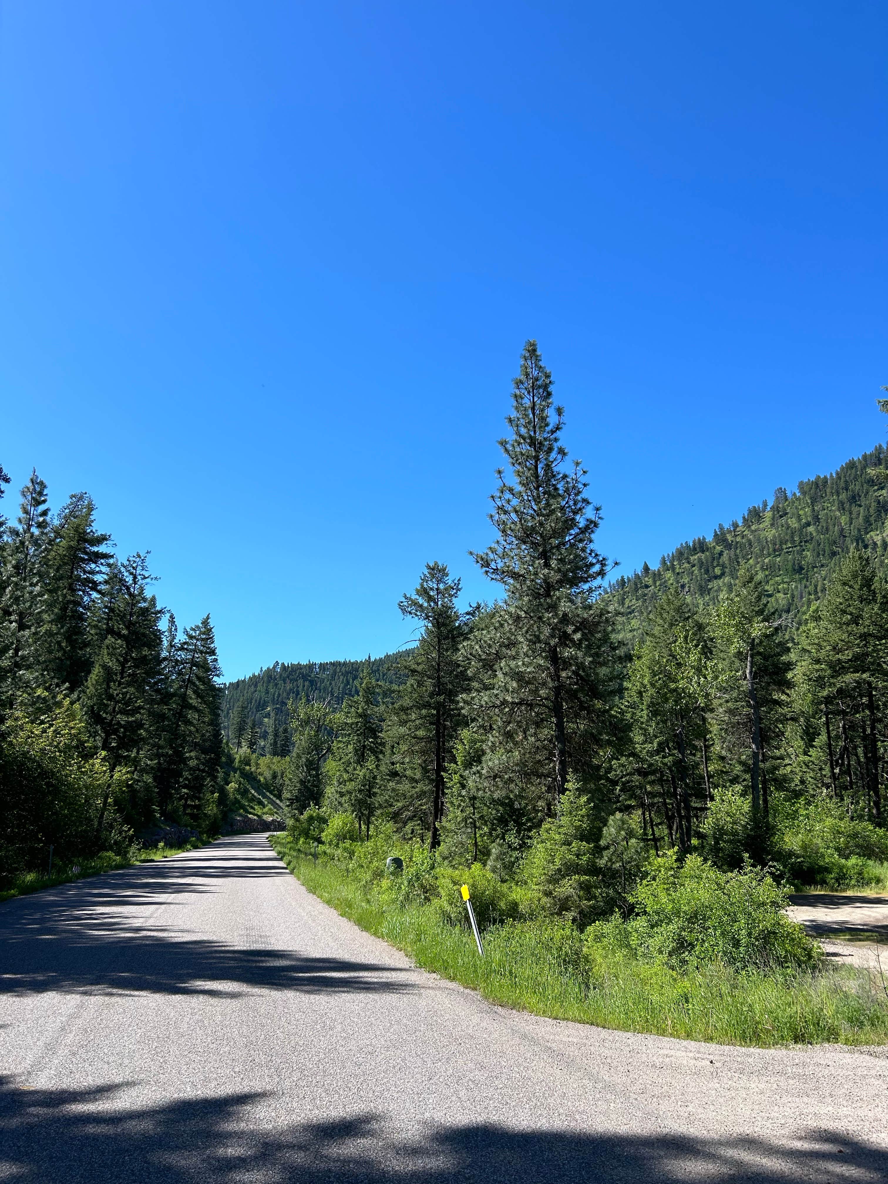 Camper submitted image from Petty Creek Road Dispersed Camping - 3