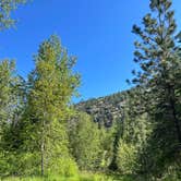 Review photo of Petty Creek Road Dispersed Camping by sophia M., June 6, 2024