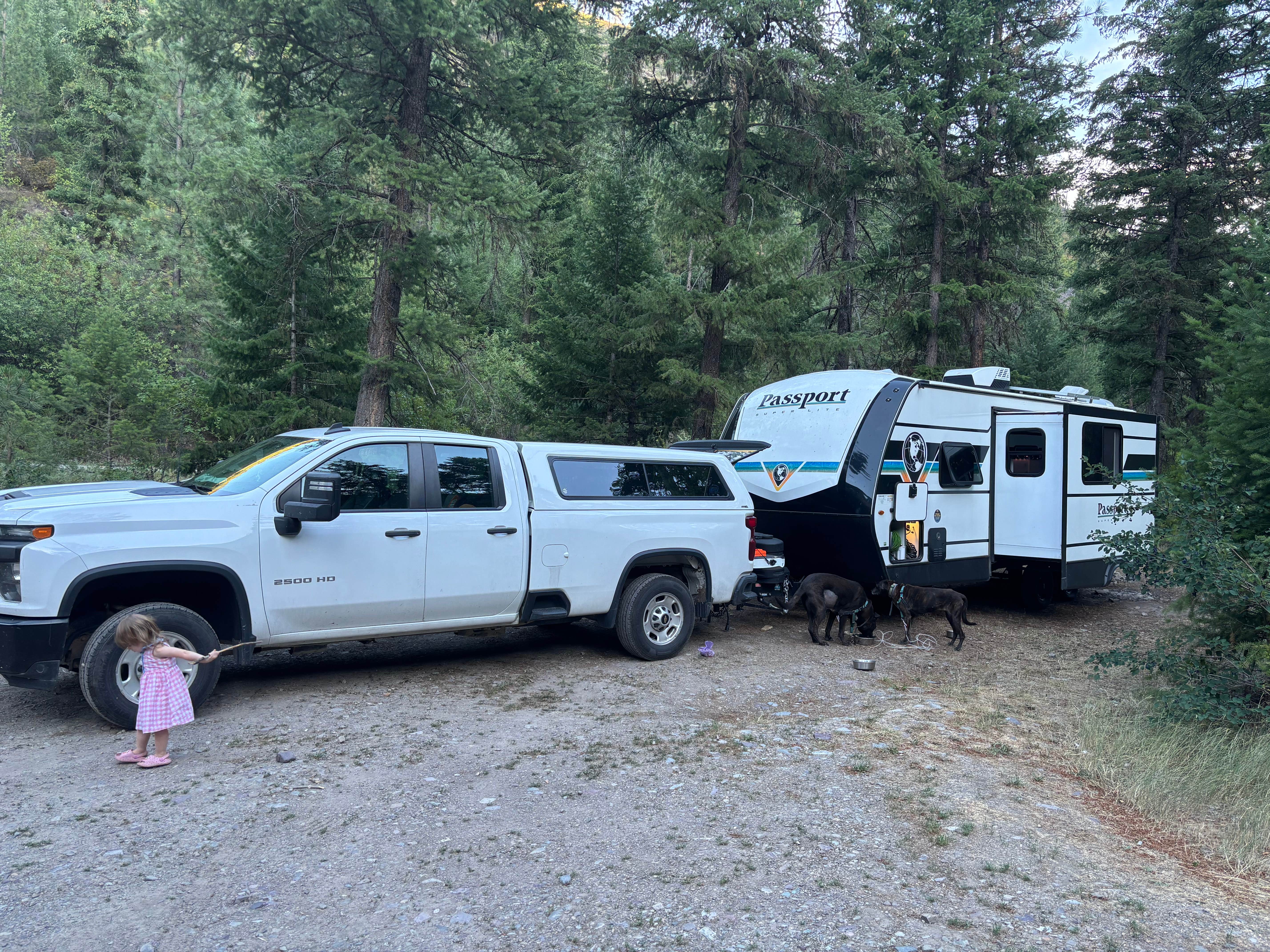 Camper-submitted photo at Petty Creek Road Dispersed Camping near Lolo, MT