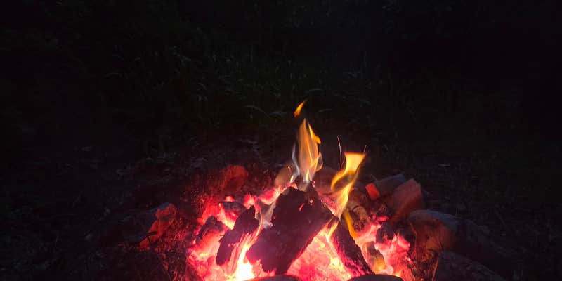 Camper submitted image from Petty Creek Road Dispersed Camping