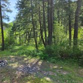 Review photo of Petty Creek Road Dispersed Camping by Ryan B., May 14, 2026