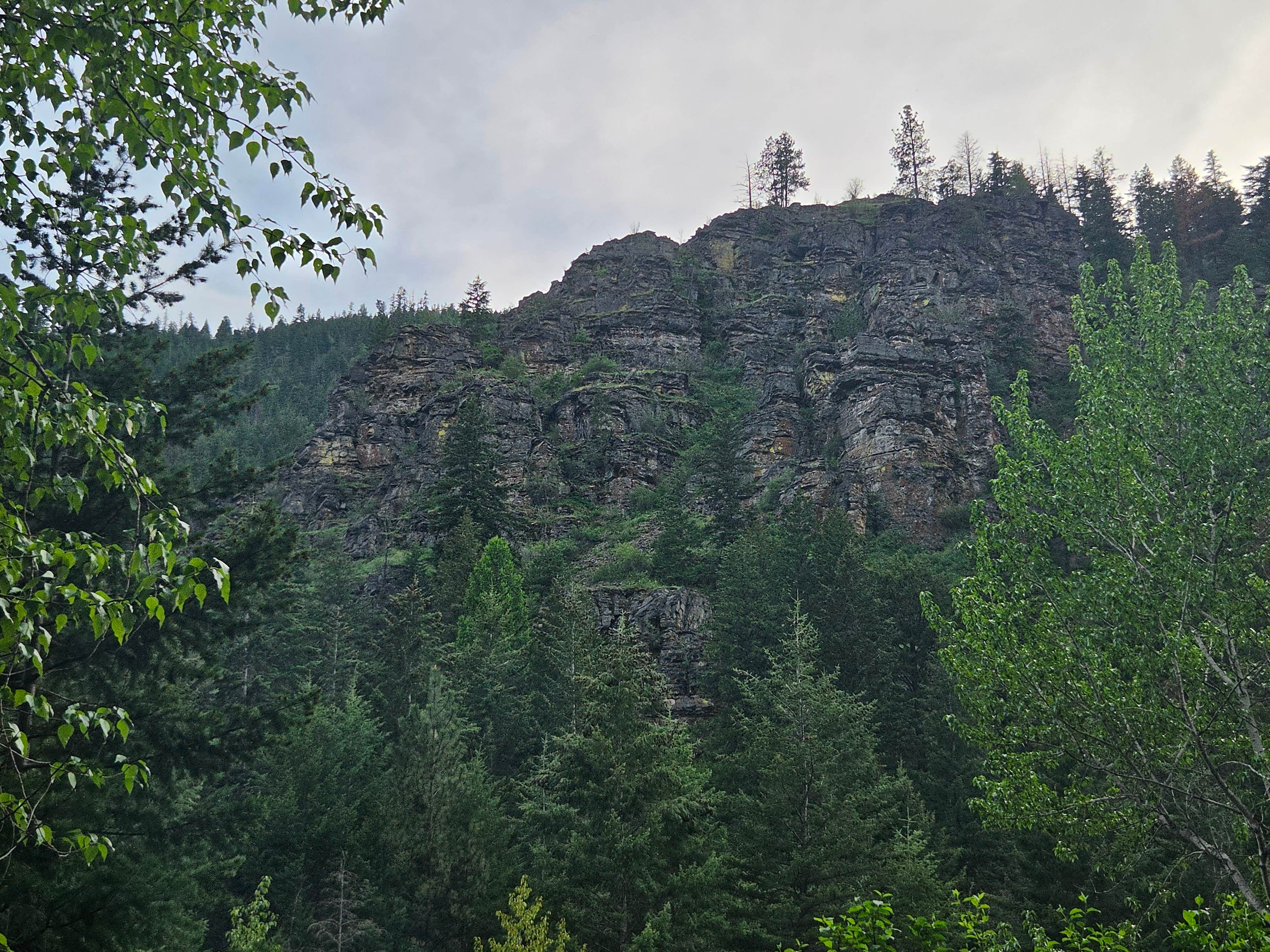 Camper-submitted photo at Petty Creek Road Dispersed Camping near Frenchtown, MT