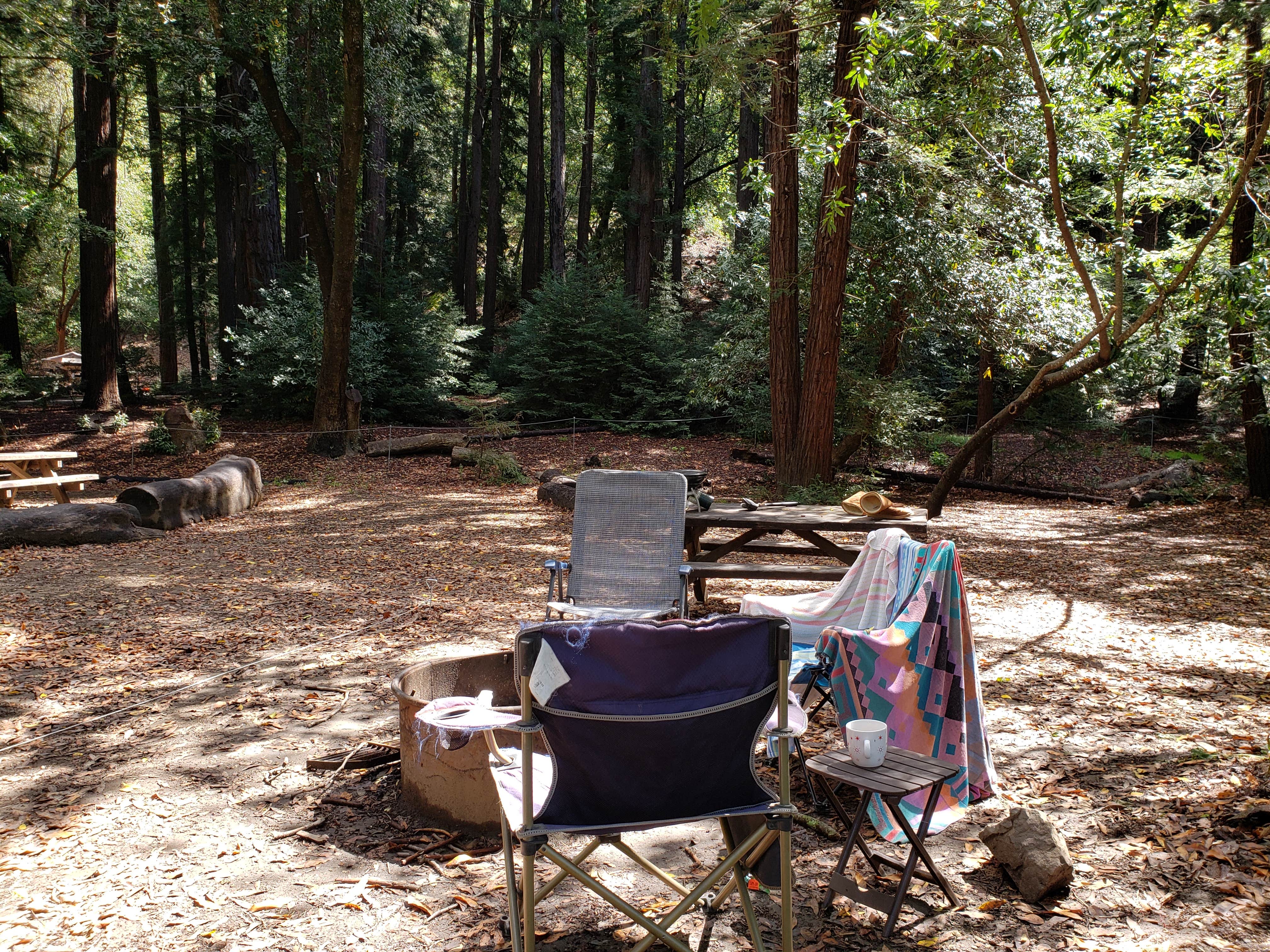 Mike M.'s photo of tent camping at Pfeiffer Big Sur State Park Campground near Monterey, CA