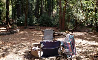 Mike M.'s photo of camping with pets at Pfeiffer Big Sur State Park Campground near Big Sur, CA