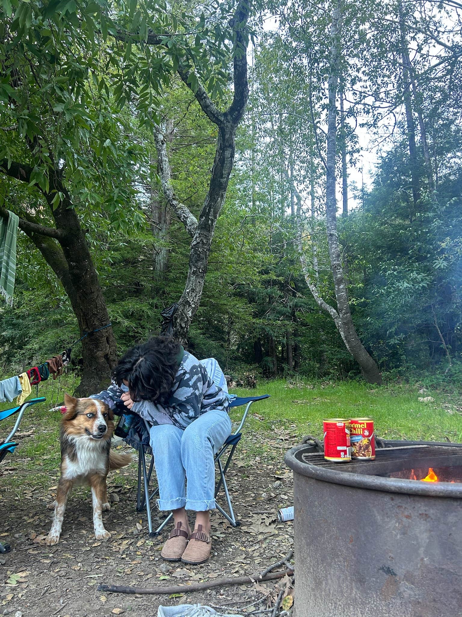 alex L.'s photo of camping with pets at Pfeiffer Big Sur State Park Campground in California