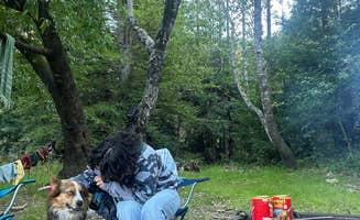 alex L.'s photo of tent camping at Pfeiffer Big Sur State Park Campground near Seaside, CA
