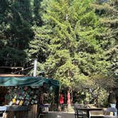 Review photo of Pfeiffer Big Sur State Park Campground by alex L., March 23, 2026