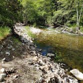 Review photo of Pfeiffer Big Sur State Park Campground by Mike M., May 31, 2025