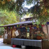 Review photo of Pfeiffer Big Sur State Park Campground by alex L., March 23, 2026