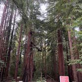 Review photo of Pfeiffer Big Sur State Park Campground by Sophia F., February 26, 2026